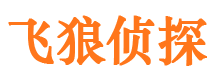 新城调查公司